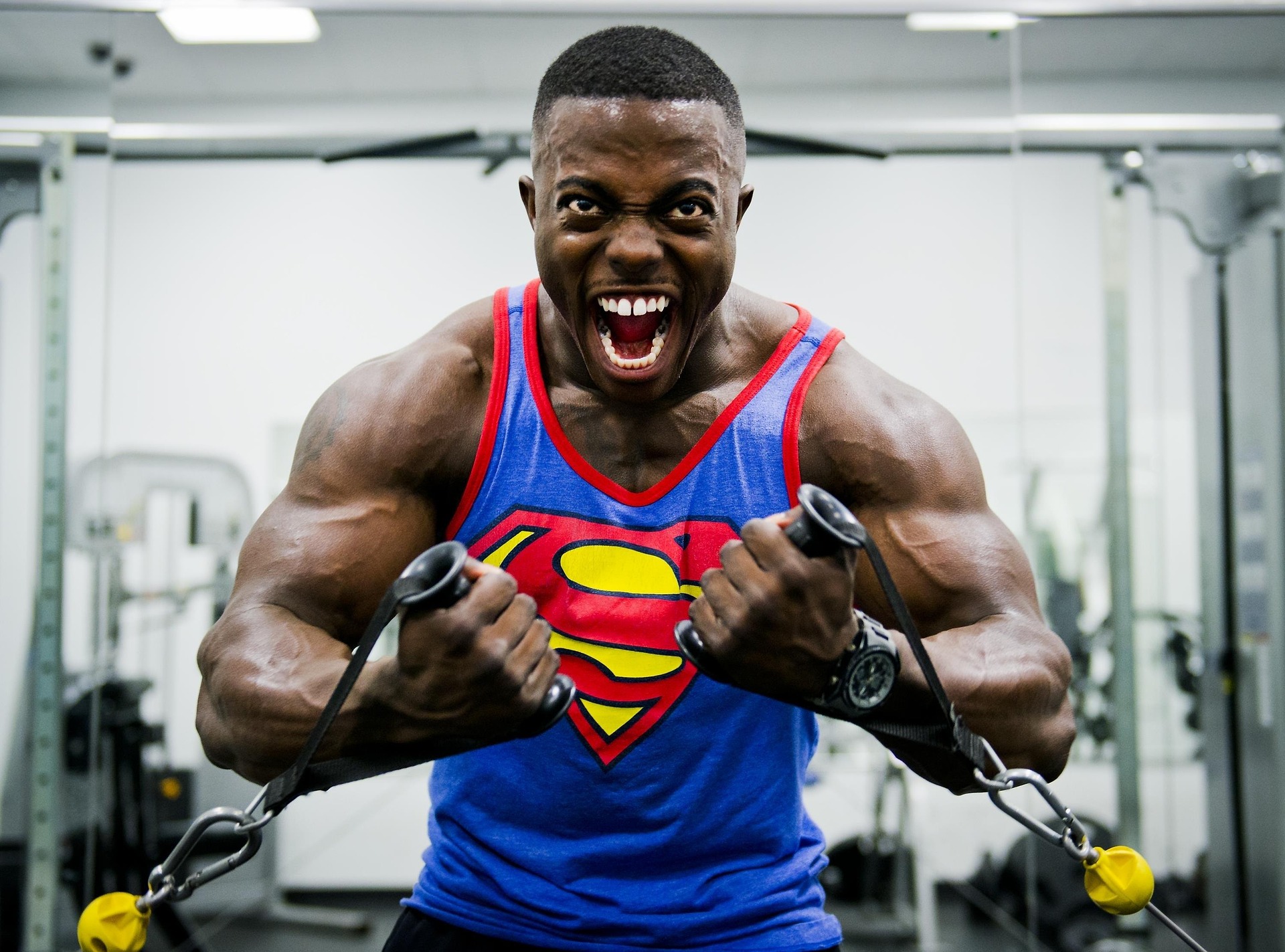 Ganzkörpertraining oder Split: Welche Variante passt zu wem?